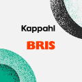 KappAhl når rekordsumma i insamling till Bris